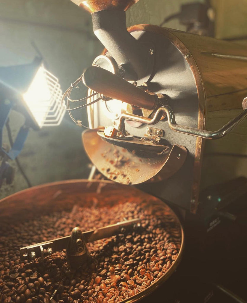 Little Fin Coffee Roastery - June 2023